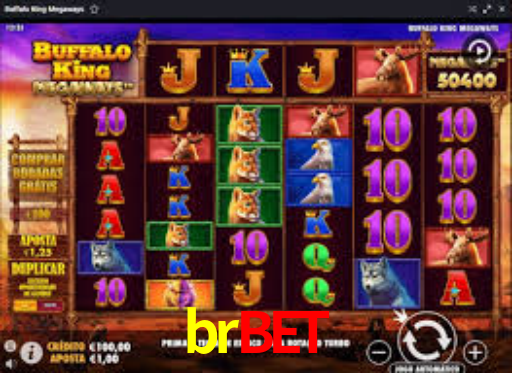 Interface Premium brbet
